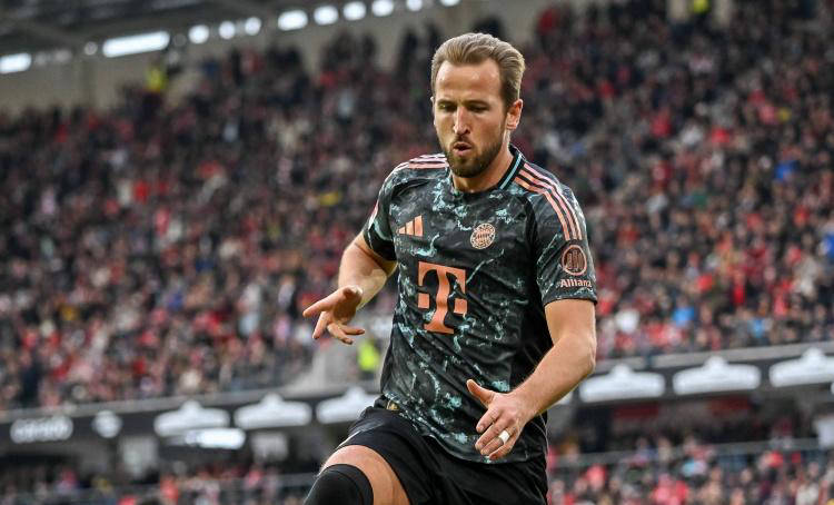 得益於專業 得益於專業